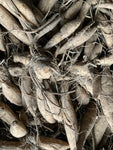 Dahlia 'Ice Breaker' decorative dinnerplate flowered - 2, 3 or 5 tubers - Free delivery within the UK