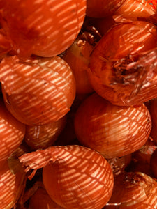 Red Seed Shallots 'Red Sun' To Plant and Grow Yourself (Free UK Postage)