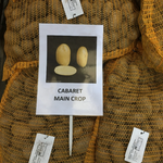 Seed Potatoes for Planting 'Cabaret' Main Crop Variety (Free UK Postage)