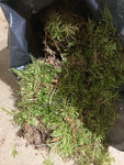 Sack of Moss For Making Your Own Christmas Wreath or Decorations (Free UK Shipping)